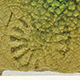 FileNo.173-627.jpg