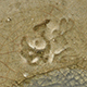 FileNo.173-628.jpg