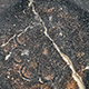 FileNo.173-630.jpg