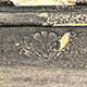 FileNo.173-633.jpg