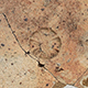 FileNo.173-634.jpg