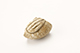 FileNo.173-648.jpg