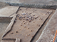 FileNo.174-023.jpg