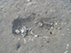 FileNo.174-032.jpg