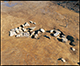 FileNo.174-040.jpg