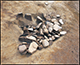 FileNo.174-041.jpg