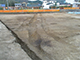 FileNo.174-048.jpg