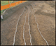 FileNo.174-049.jpg
