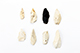 FileNo.174-054.jpg