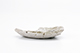 FileNo.174-093.jpg