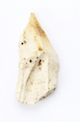 FileNo.174-097.jpg