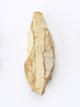 FileNo.174-105.jpg