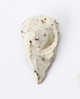 FileNo.174-115.jpg