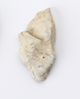 FileNo.174-118.jpg