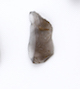 FileNo.174-126.jpg