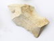 FileNo.174-142.jpg