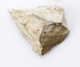 FileNo.174-146.jpg