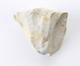 FileNo.174-163.jpg