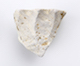 FileNo.174-164.jpg