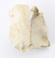 FileNo.174-167.jpg