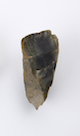 FileNo.174-174.jpg