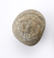 FileNo.174-179.jpg