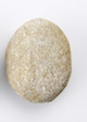 FileNo.174-182.jpg