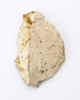 FileNo.174-186.jpg