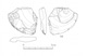 図版 174-S058.jpg