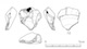 図版 174-S072.jpg