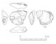 図版 174-S076.jpg