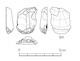図版 174-S084.jpg