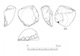 図版 174-S088.jpg