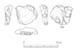 図版 174-S089.jpg