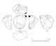 図版 174-S099.jpg