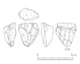 図版 174-S104.jpg