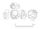 図版 174-S113.jpg