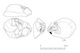 図版 174-S129.jpg
