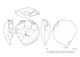図版 174-S134.jpg