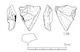 図版 174-S138.jpg