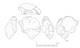 図版 174-S143.jpg