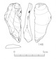 図版 174-S148.jpg