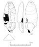 図版 174-S151.jpg