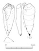 図版 174-S163.jpg