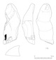 図版 174-S179.jpg
