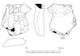 図版 174-S189.jpg