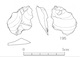 図版 174-S195.jpg