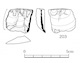 図版 174-S203.jpg