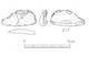 図版 174-S217.jpg