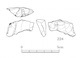 図版 174-S224.jpg